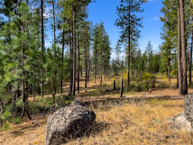 TBD Coyote Canyon Rd, Fruitland WA, 99129 land for sale