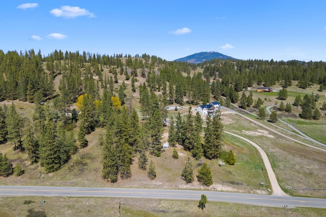 drone / aerial view with a mountain view and a view of trees