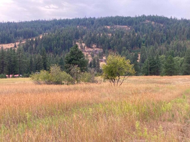 3349 Rockcut Rd Unit Ff, Kettle Falls, WA 99141