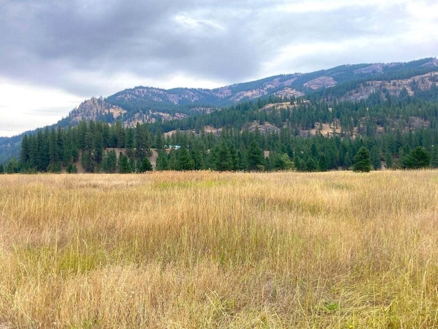 3349 Rockcut Rd Unit Ff, Kettle Falls, WA 99141