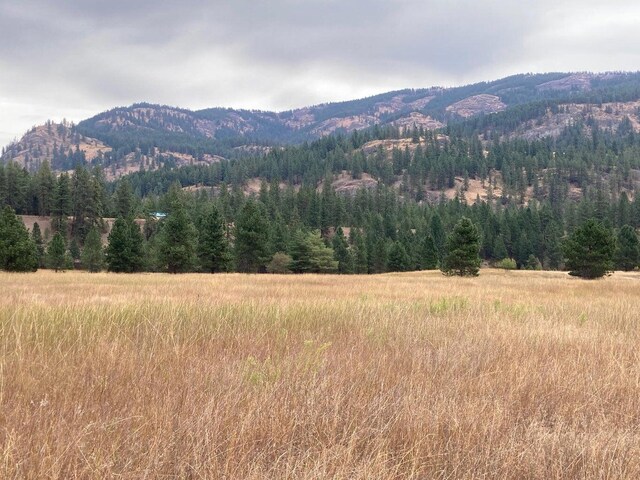 3349 Rockcut Rd Unit Ff, Kettle Falls, WA 99141
