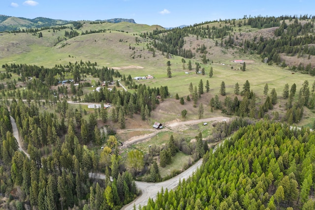 839 Trout Creek Rd, Republic, WA 99166 - photo 1