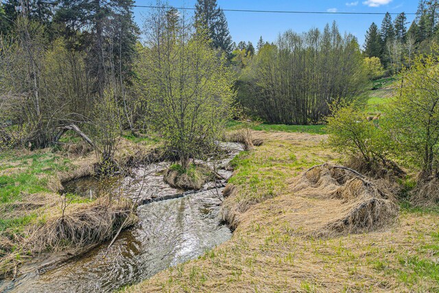 839 Trout Creek Rd, Republic, WA 99166 - photo 12