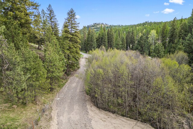 839 Trout Creek Rd, Republic, WA 99166 - photo 14