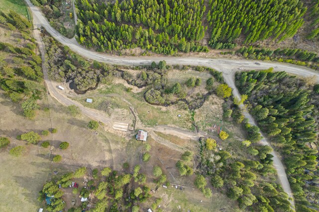 839 Trout Creek Rd, Republic, WA 99166 - photo 28