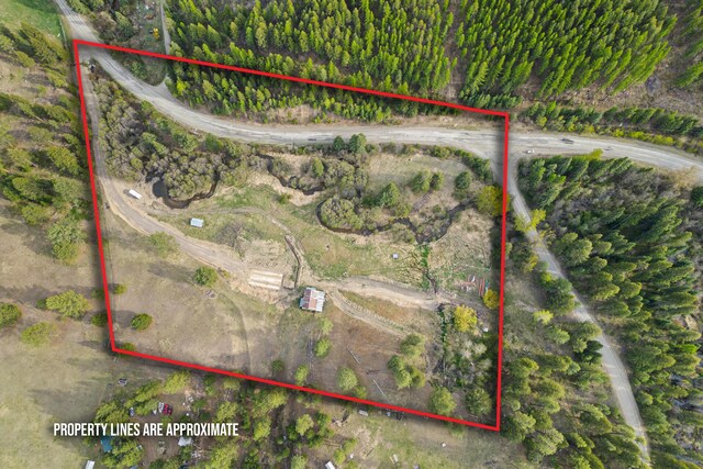 839 Trout Creek Rd, Republic, WA 99166 - photo 3
