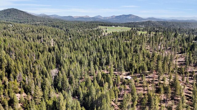 5324 Olinger Rd, Springdale, WA 99173 - photo 25