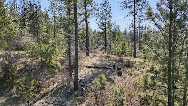 5324 Olinger Rd, Springdale, WA 99173 - photo 14