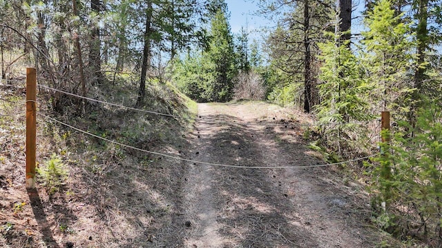 5324 Olinger Rd, Springdale, WA 99173 - photo 15