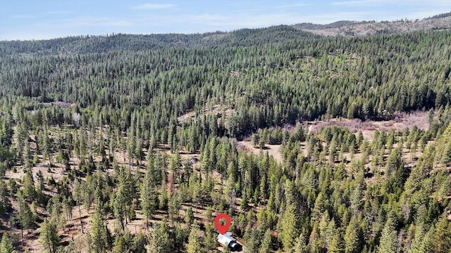 5324 Olinger Rd, Springdale, WA 99173 - photo 22