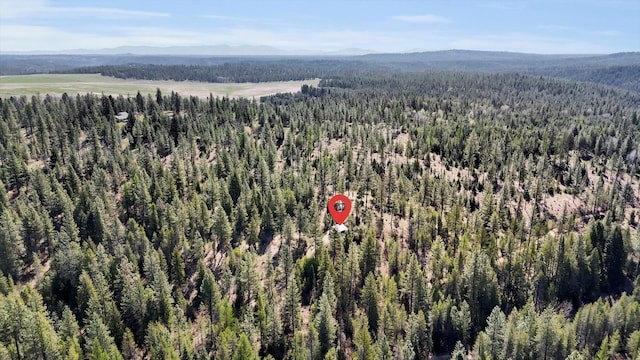 5324 Olinger Rd, Springdale, WA 99173 - photo 26