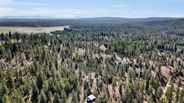 5324 Olinger Rd, Springdale, WA 99173 - photo 30