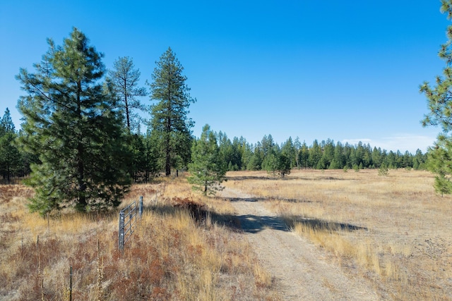 view of nature featuring a rural view