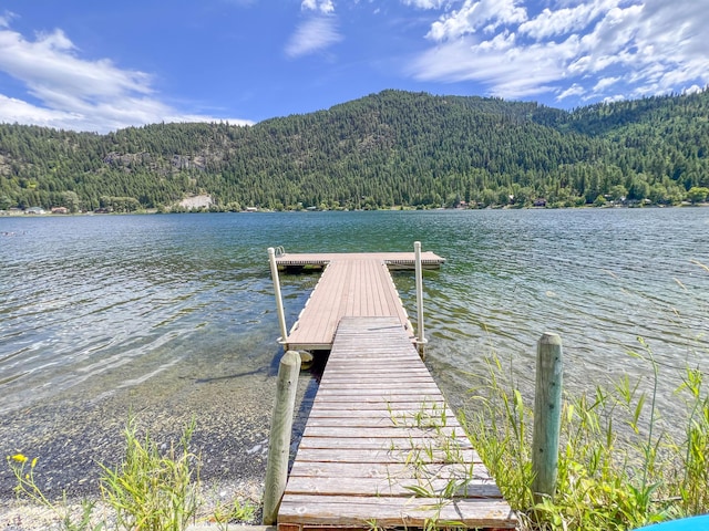 3049 Deep Lake N Shore Way, Colville, WA 99114 - photo 27