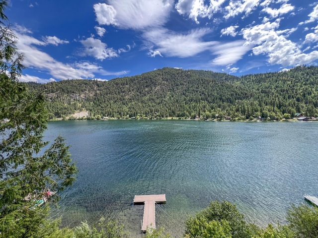 3049 Deep Lake N Shore Way, Colville, WA 99114 - photo 2