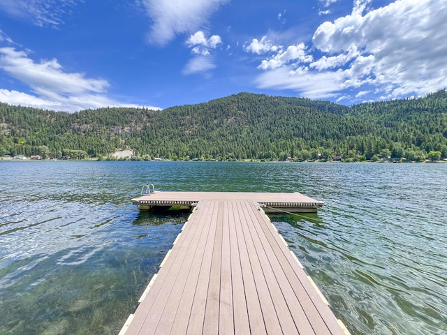 3049 Deep Lake N Shore Way, Colville, WA 99114 - photo 25
