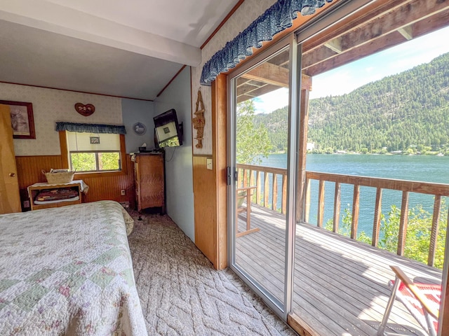 3049 Deep Lake N Shore Way, Colville, WA 99114 - photo 16