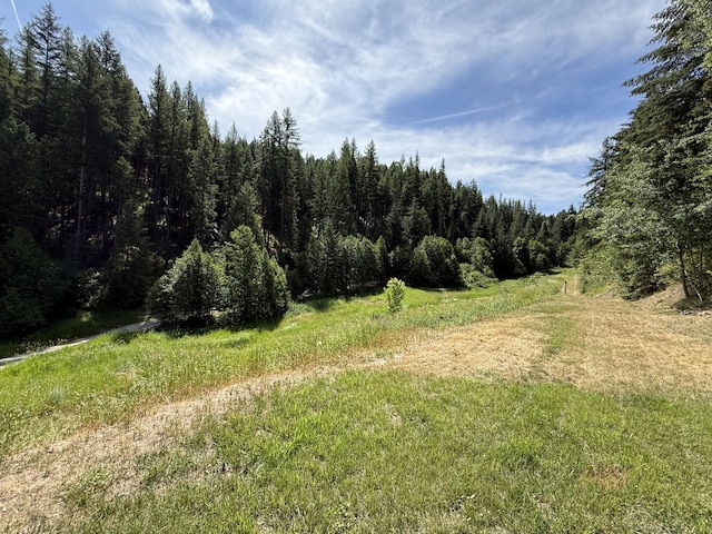 49 Lilly Creek Rd, Republic, WA 99166 - photo 22