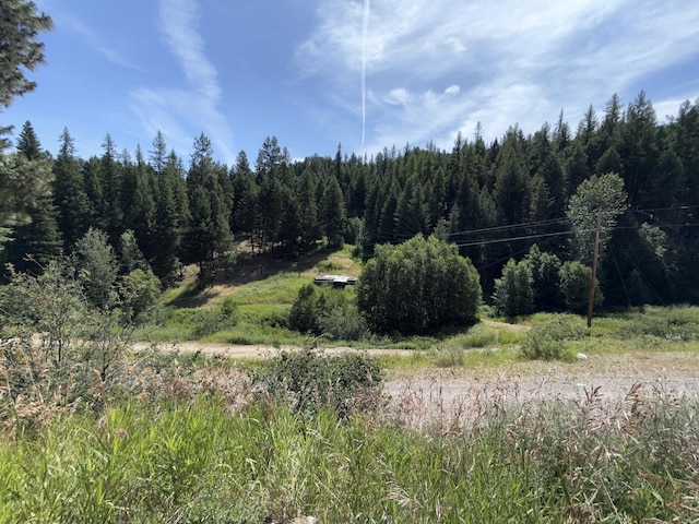 49 Lilly Creek Rd, Republic, WA 99166 - photo 42