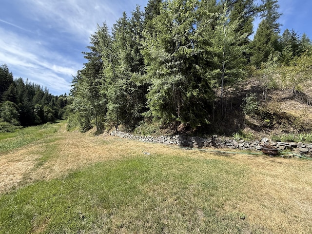 49 Lilly Creek Rd, Republic, WA 99166 - photo 23