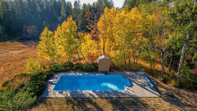 view of swimming pool with a storage unit and a diving board