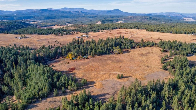 birds eye view of property featuring a mountain view