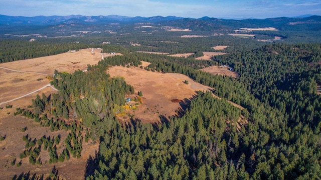 aerial view with a mountain view