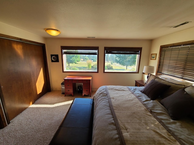 carpeted bedroom with a closet