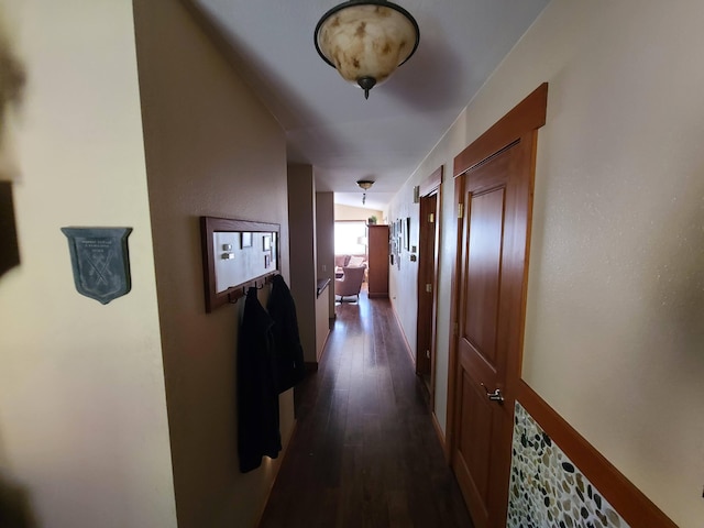 hall featuring dark wood-type flooring