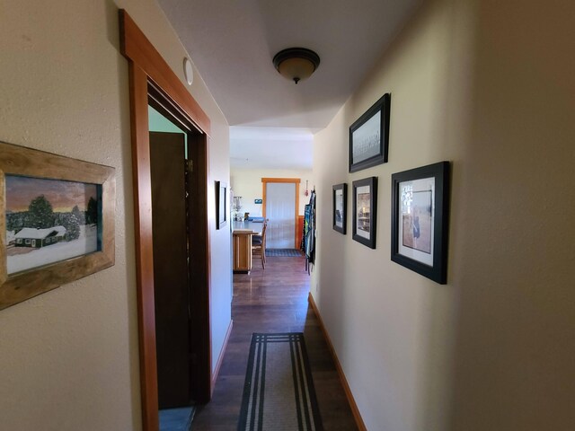 hall featuring dark hardwood / wood-style flooring