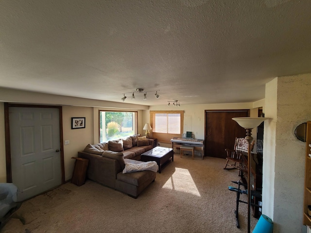 living room featuring a textured ceiling and light carpet