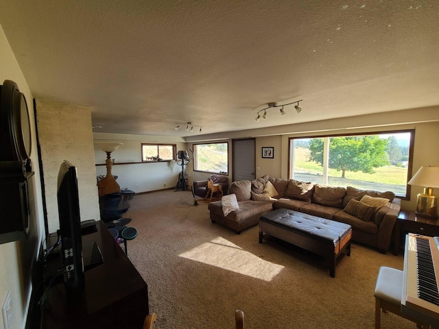 carpeted living room with a textured ceiling