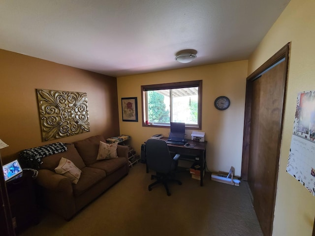 office area featuring carpet floors