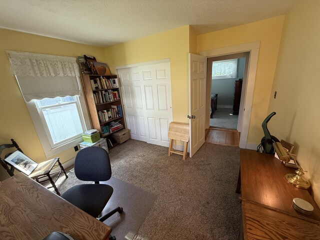 466 N Oak St, Colville, WA 99114 - photo 40