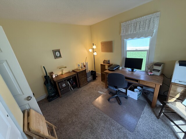 466 N Oak St, Colville, WA 99114 - photo 41
