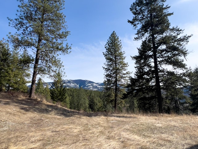 700F Dry Gulch Rd, Colville, WA 99114 - photo 23