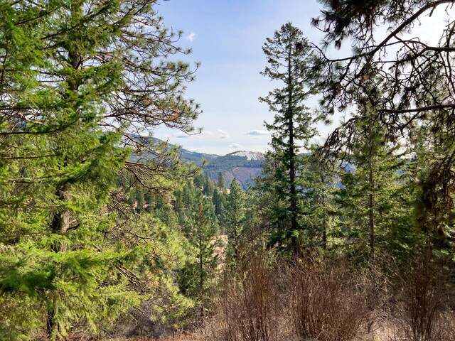 700F Dry Gulch Rd, Colville, WA 99114 - photo 22