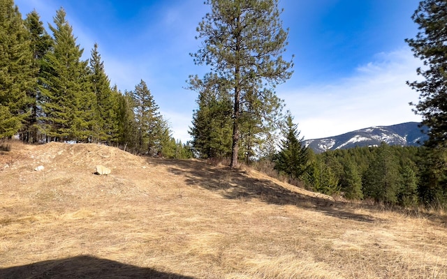 700F Dry Gulch Rd, Colville, WA 99114 - photo 24