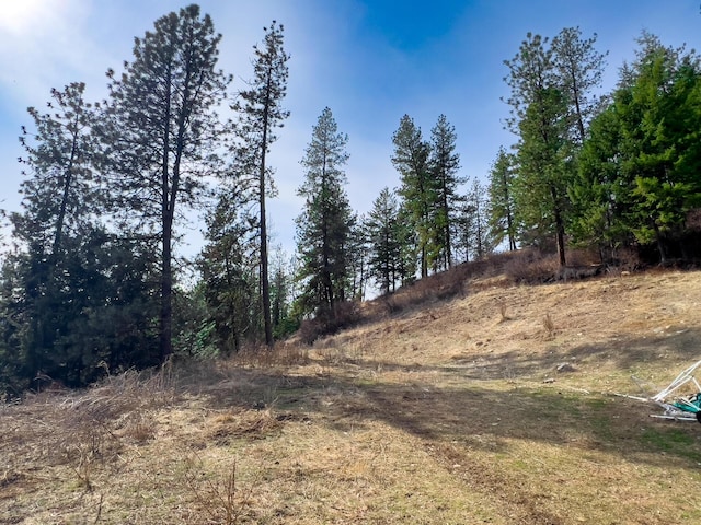 700F Dry Gulch Rd, Colville, WA 99114 - photo 19
