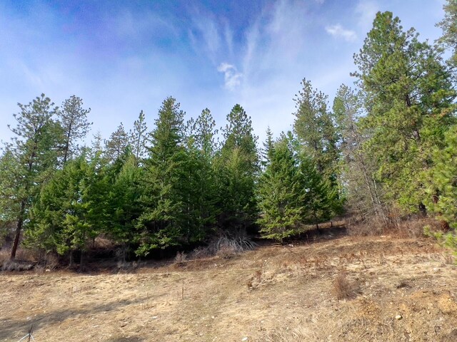 700F Dry Gulch Rd, Colville, WA 99114 - photo 20