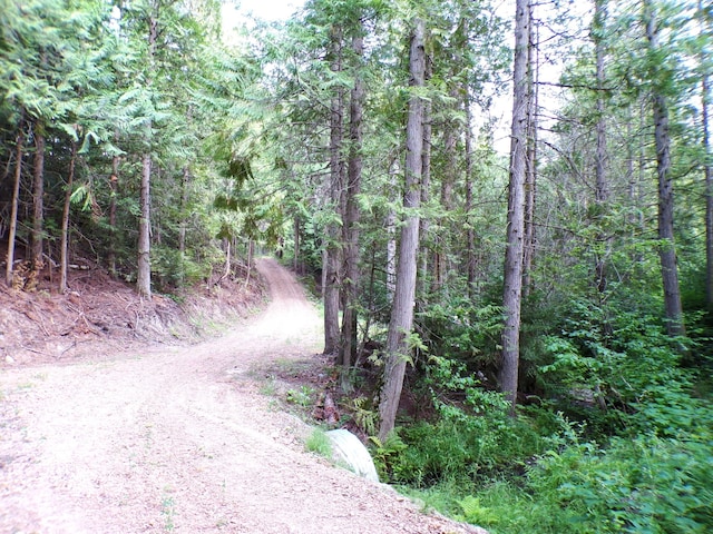 view of road