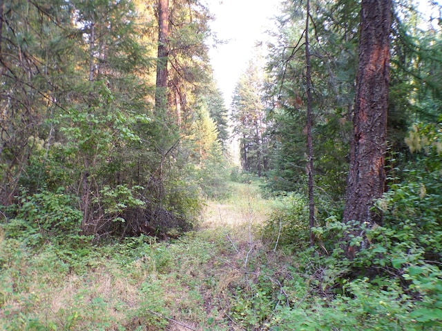 view of landscape featuring a forest view