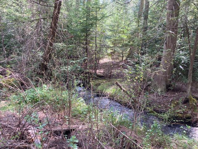 3121 Fifteen Mile Creek Rd, Kettle Falls, WA 99141 - view of landscape featuring a view of trees