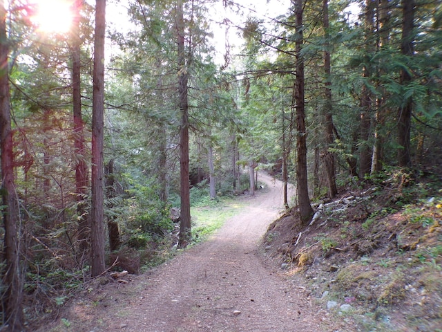 view of road with a wooded view