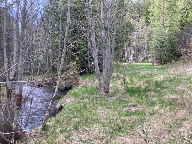3121 Fifteen Mile Creek Rd, Kettle Falls, WA 99141 - view of landscape featuring a wooded view