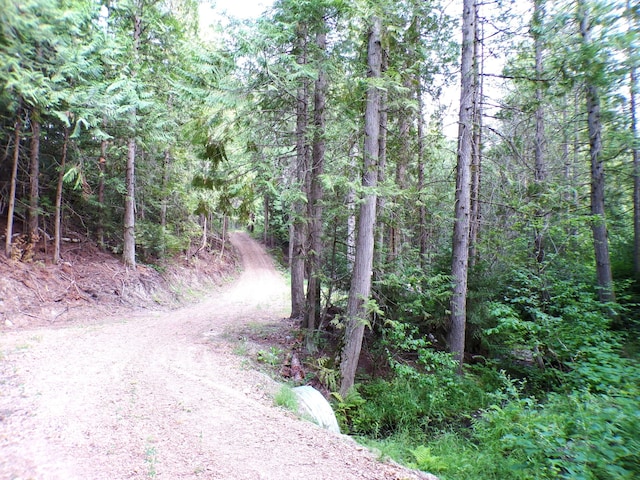 3121 Fifteen Mile Creek Rd, Kettle Falls, WA 99141 - view of road with a view of trees