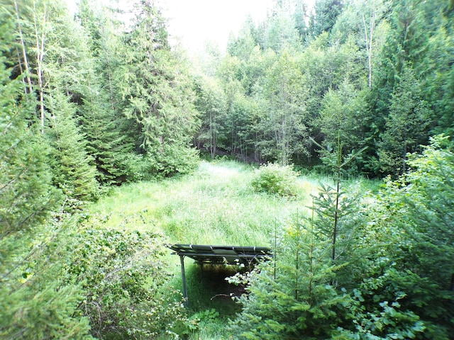 3121 Fifteen Mile Creek Rd, Kettle Falls, WA 99141 - view of local wilderness with a wooded view