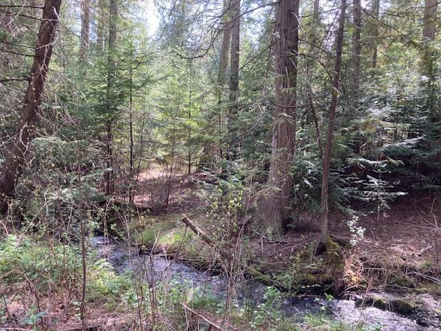 3121 Fifteen Mile Creek Rd, Kettle Falls, WA 99141 - view of nature with a forest view