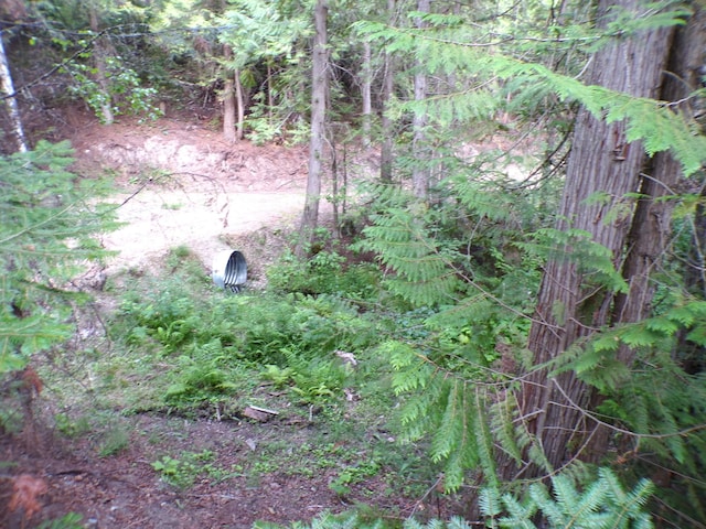 view of landscape featuring a view of trees