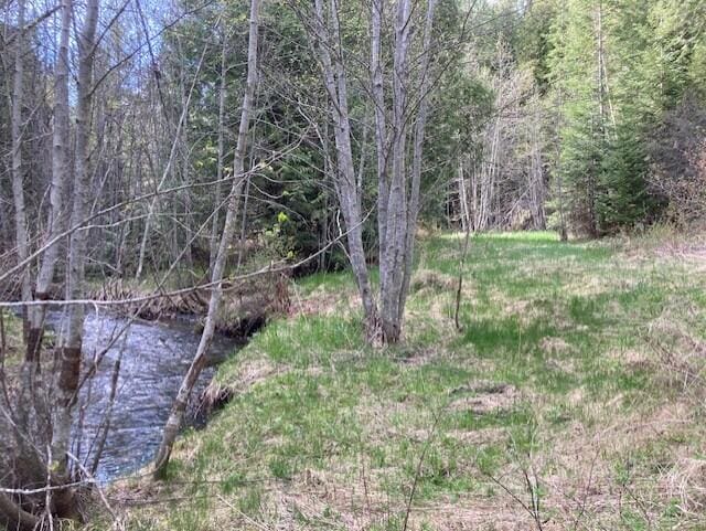 3121 Fifteen Mile Creek Rd, Kettle Falls, WA 99141 - view of landscape featuring a view of trees